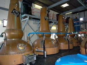 14k - Spirit Stills